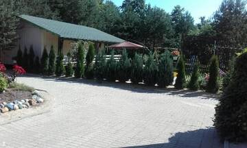 Фото номера Дом с 1 спальней Лоджи Mustvee Creek Cottage г. Муствеэ 30